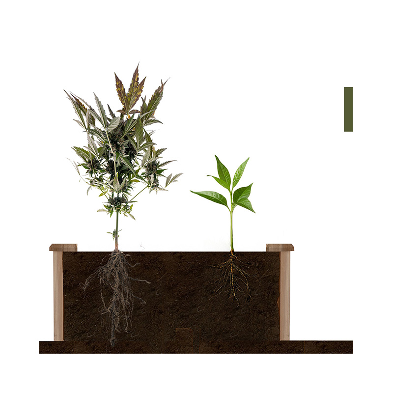 3.9ft x 3.9ft 上げられたガーデンベッドボックス セグメント化された成長グリッド付き 裏庭の植物とハーブ用の木材