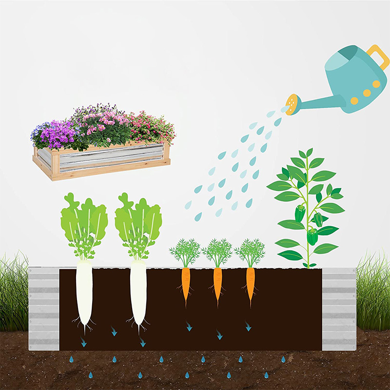 上げられた庭の花壇キット、温室付き、木製コールドフレームプランター、ナチュラル