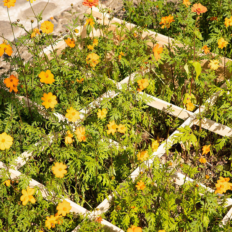 3.9ft x 3.9ft 上げられたガーデンベッドボックス セグメント化された成長グリッド付き 裏庭の植物とハーブ用の木材